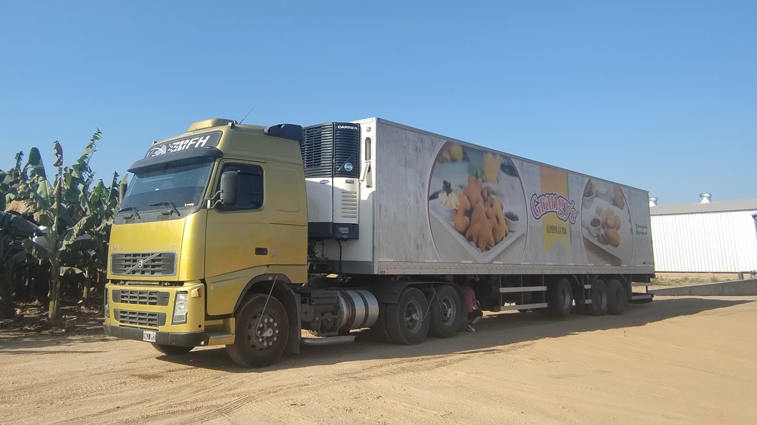Logística de distribución en palets